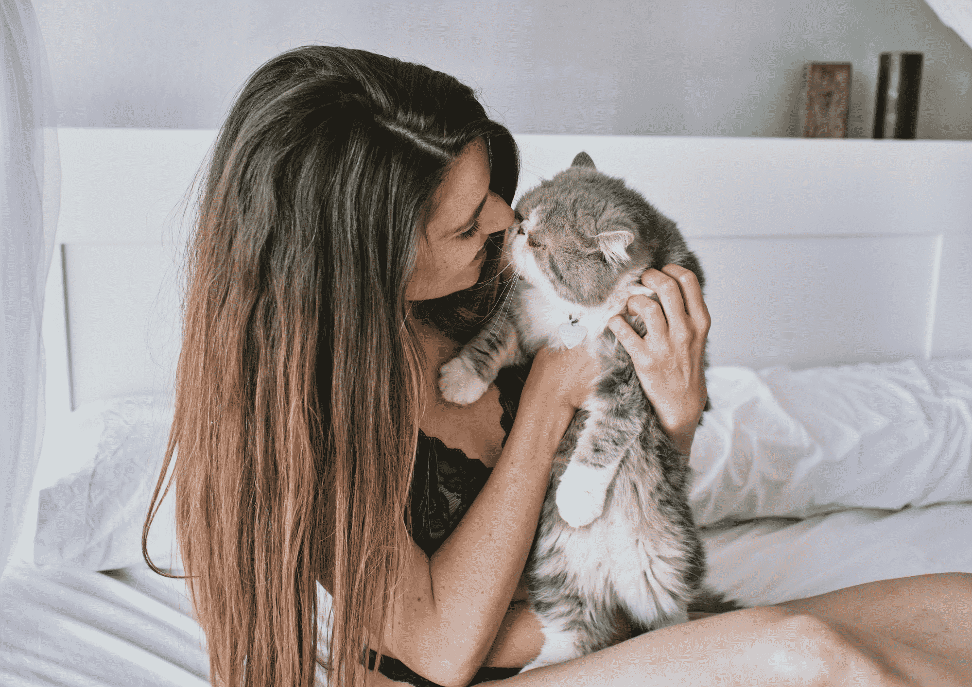 Comment les chats expriment-ils leur affection ? - Matoo & Patoo